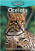 Ocelots by Blakemore, Victoria