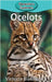 Ocelots by Blakemore, Victoria