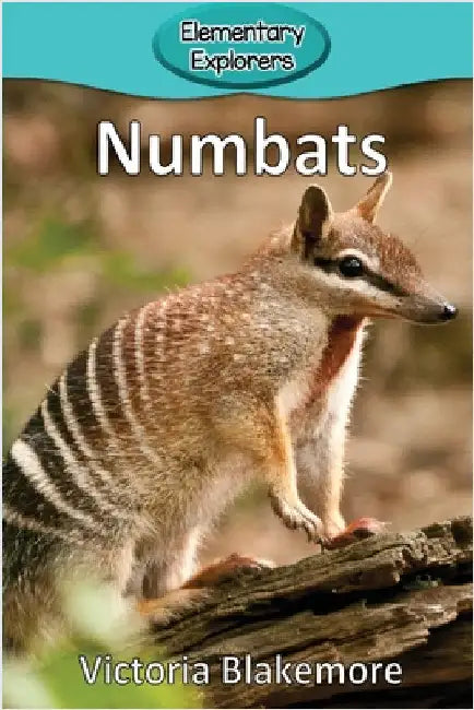 Numbats by Blakemore, Victoria