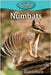 Numbats by Blakemore, Victoria