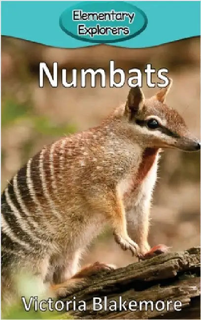 Numbats by Blakemore, Victoria