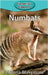 Numbats by Blakemore, Victoria