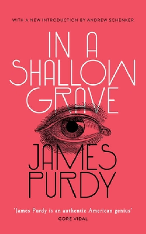 In a Shallow Grave (Valancourt 20th Century Classics) by James Purdy, Andrew Schenker