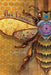 Bee Dance by Cathy Cain