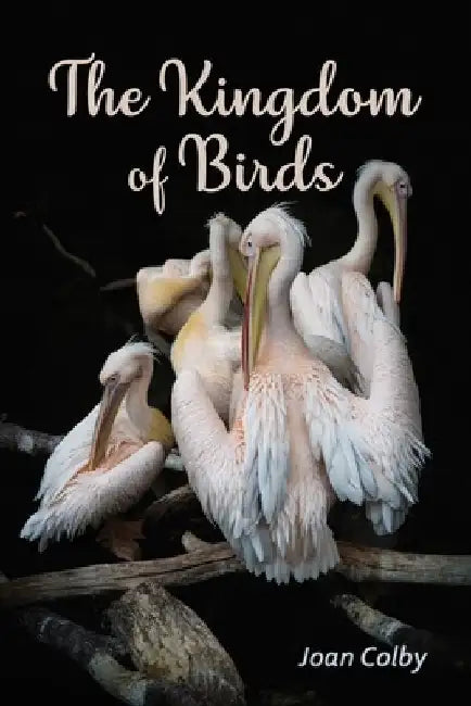 The Kingdom of Birds by Joan Colby