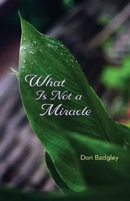What Is Not a Miracle by Don Badgley