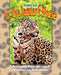 In the Jaguar's House by Debbie Hall