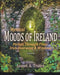 Mystical Moods of Ireland, Vol. VI: Portals Through Time: Irish Doorways & Windows by James A. Truett