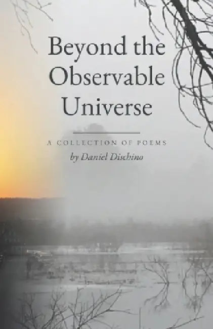 Beyond the Observable Universe by Elizabeth Amigo-Dischino, Daniel Dischino