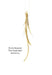 Enric Majoral: The Expanded Jewellery by Enric Majoral