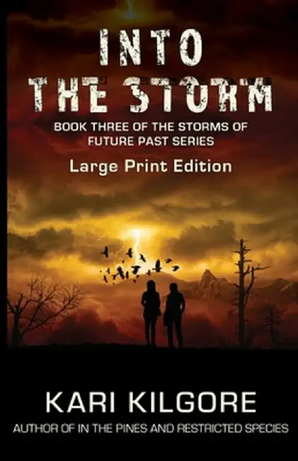 Into the Storm by Kari Kilgore