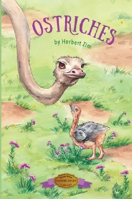 Ostriches by Herbert Zim