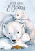 Here Come the Bears by Alice Goudey