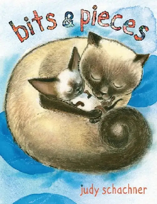 Bits & Pieces by Judy Schachner