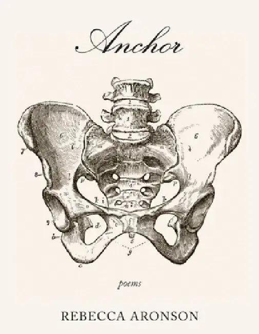 Anchor by Rebecca Aronson