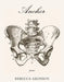 Anchor by Rebecca Aronson