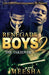 Renegade Boys 2: The Takeover by Meesha