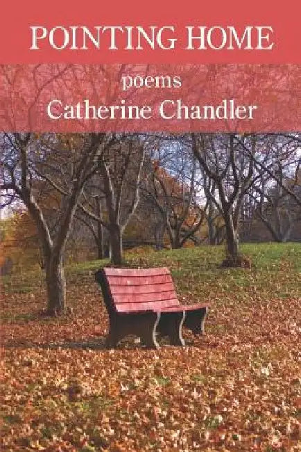 Pointing Home by Catherine Chandler