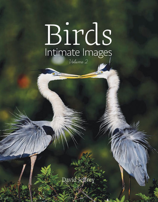 Birds: Intimate Images Volume 2 by David Jeffrey