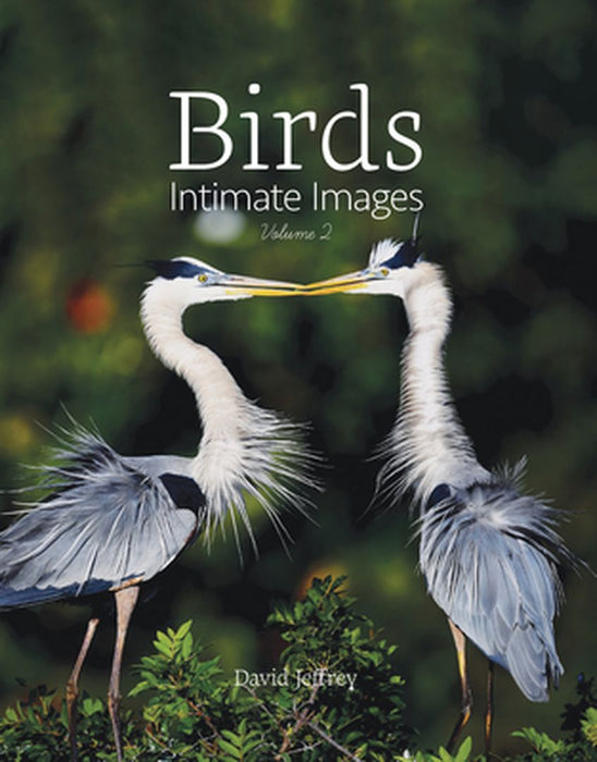 Birds: Intimate Images Volume 2 by David Jeffrey