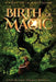 Birth of Magic: A Sun-Blessed Trilogy Novella by Carol Beth Anderson