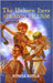 The Unborn Hero of Dragon Village by Aveela, Ronesa