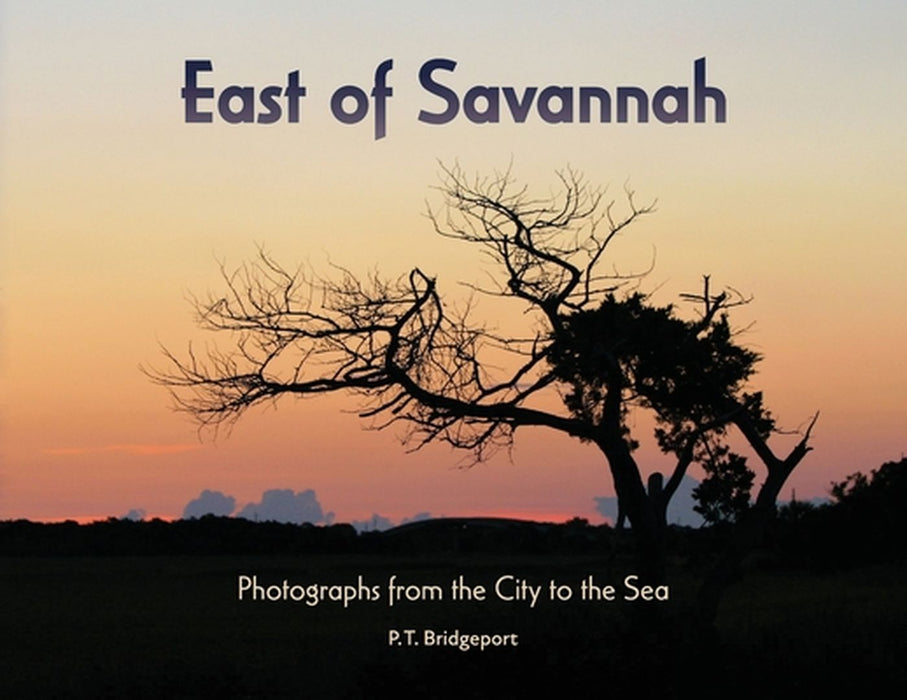 East of Savannah: Photographs from the City to the Sea by P. T. Bridgeport