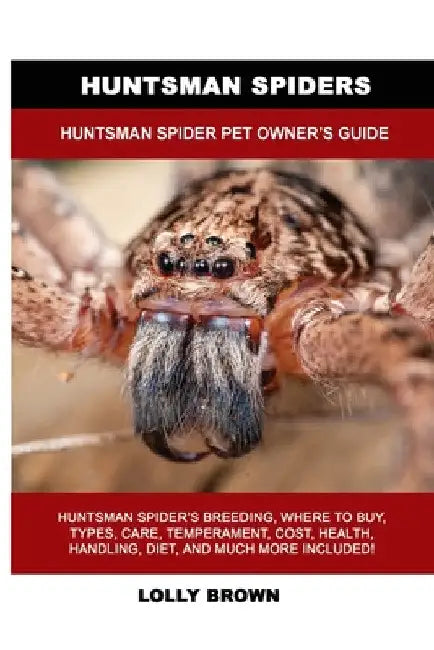 Huntsman Spiders: Huntsman Spider Pet Owner's Guide by Lolly Brown