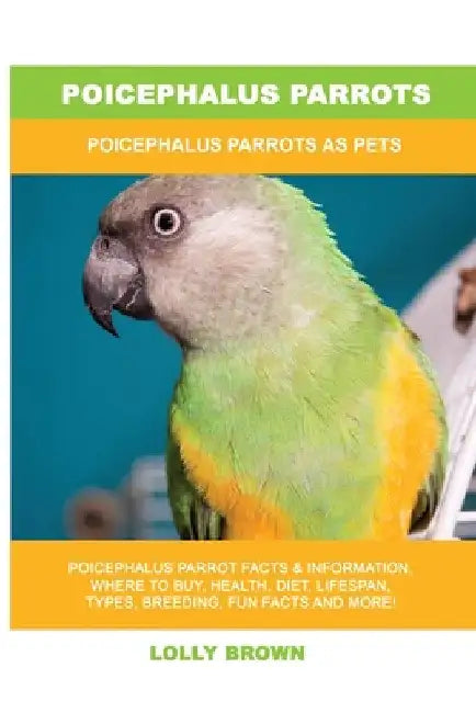 Poicephalus Parrots: Poicephalus Parrots As Pets by Lolly Brown