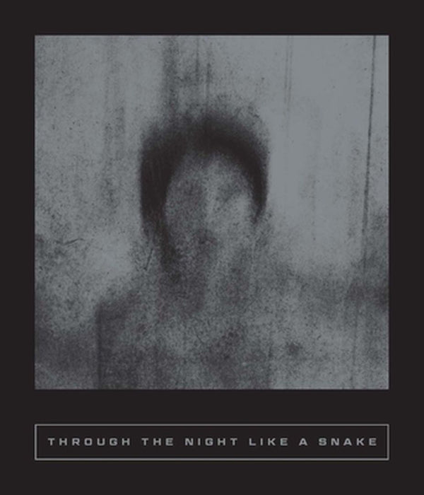 Through the Night Like a Snake: Latin American Horror Stories by Sarah Coolidge