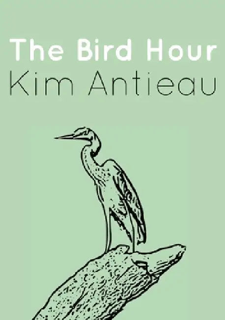 The Bird Hour by Kim Antieau