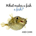 What Makes a Fish a Fish? by Andi Cann