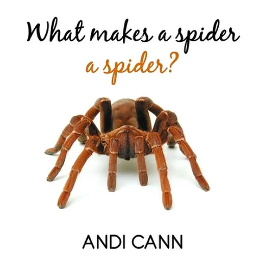 What Makes a Spider a Spider by Andi Cann
