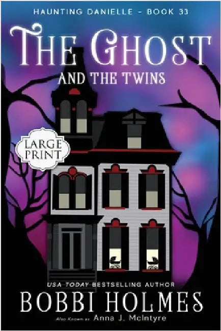 The Ghost and the Twins by Holmes, Bobbi