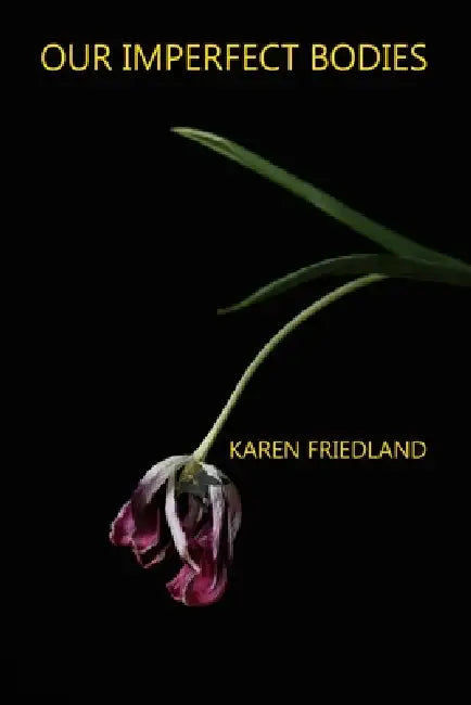 Our Imperfect Bodies by Karen Friedland