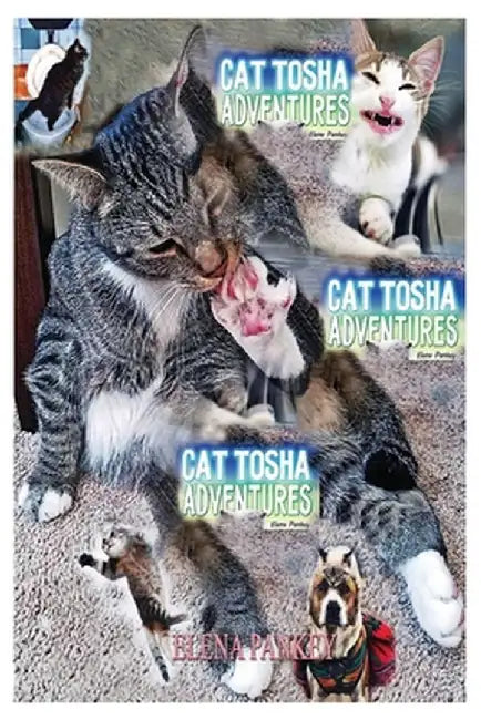 Cat Tosha Adventures: Fun Real Stories by Elena Pankey