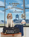 Logan and the Lost Luggage by Christine Ricci-McNamee