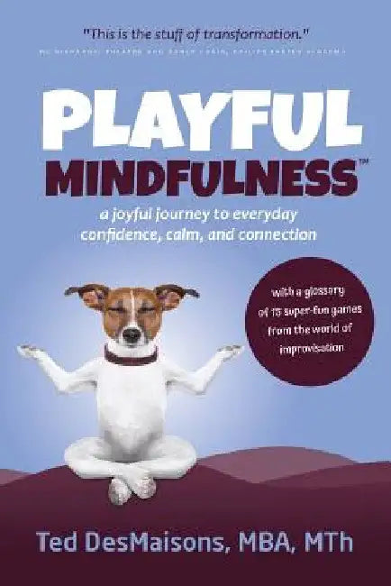 Playful Mindfulness: a joyful journey to everyday confidence, calm, and connection by Ted Desmaisons