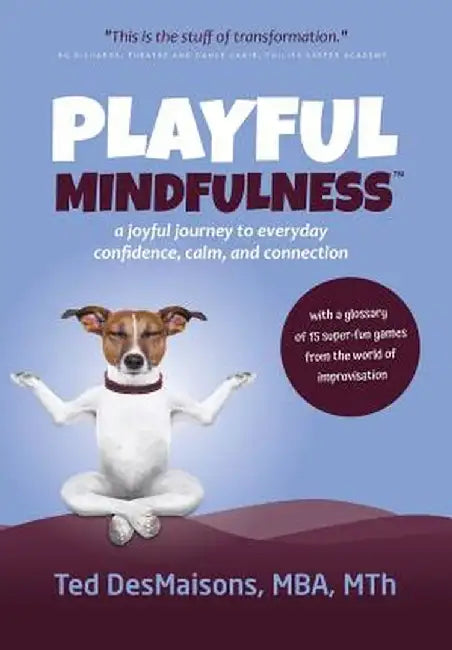 Playful Mindfulness: A Joyful Journey to Everyday Confidence, Calm, and Connection by Ted Desmaisons