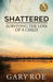 Shattered: Surviving the Loss of a Child by Gary Roe