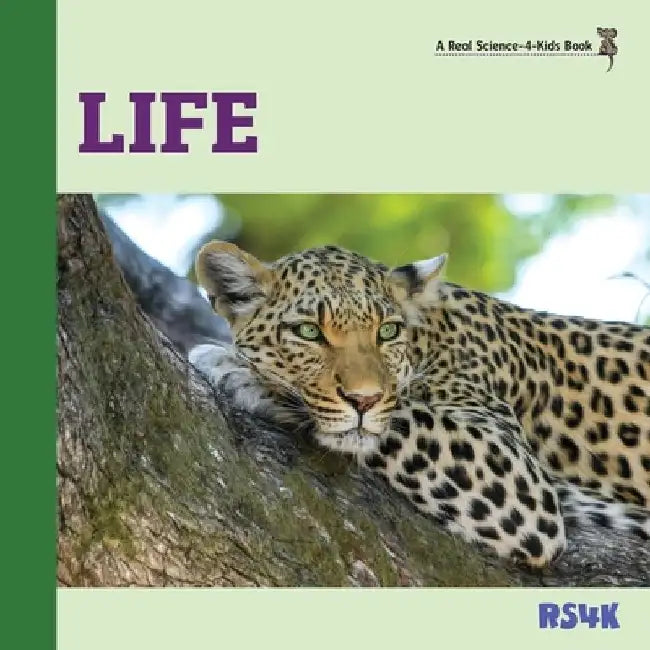 Life by Rebecca Woodbury