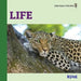 Life by Rebecca Woodbury