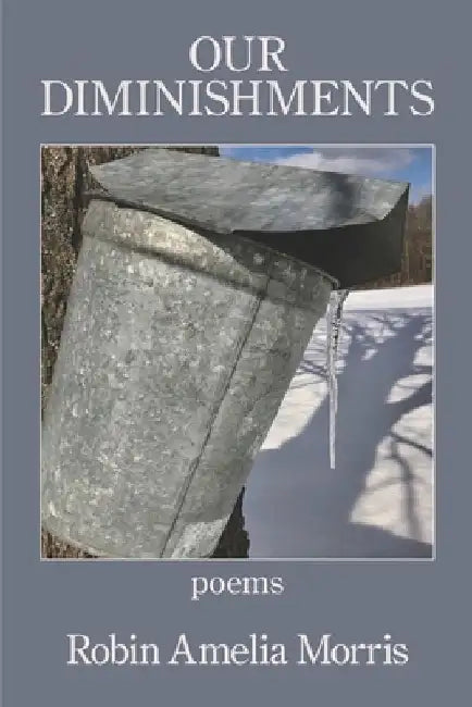 Our Diminishments by Robin Ameila Morris