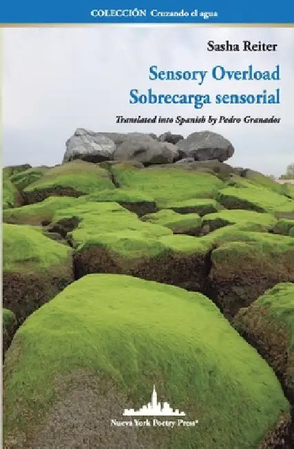 Sensory Overload: Sobrecarga Sensorial (Bilingual edition) by Sasha Reiter