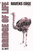 Bridge of Life: Havens Edge (Issue 1) by A. J. Witt