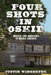 Four Shots in Oskie: Murder and Innocence in Middle America by Justin Wingerter