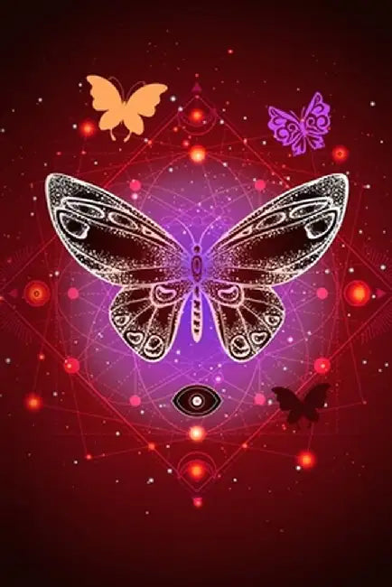 Pretty Butterfly by Dakiara