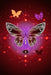Pretty Butterfly by Dakiara
