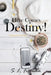 Here Comes Destiny!: A Journal for Healing by S. L. Ferguson