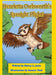 Henrietta Owlsworth's Eyesight Plight! by Sherry a. Jones
